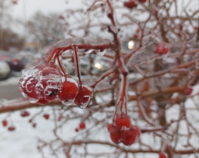 Ледяной дождь - 01.jpg